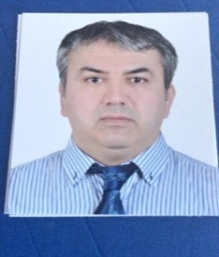 Erol AY